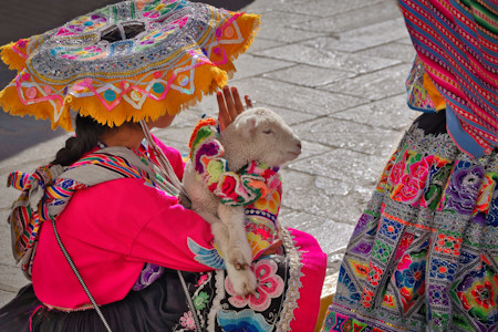 Animal, Animals, Costume, Cute, Travel, Travels